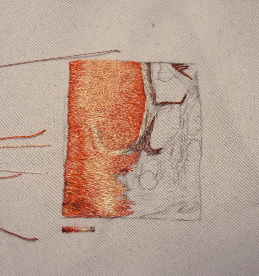 Ejercicio de bordado realista, 2020. Bordado sobre lino sansón, hilo mercerizado de algodón tipo mouliné marca DMC.