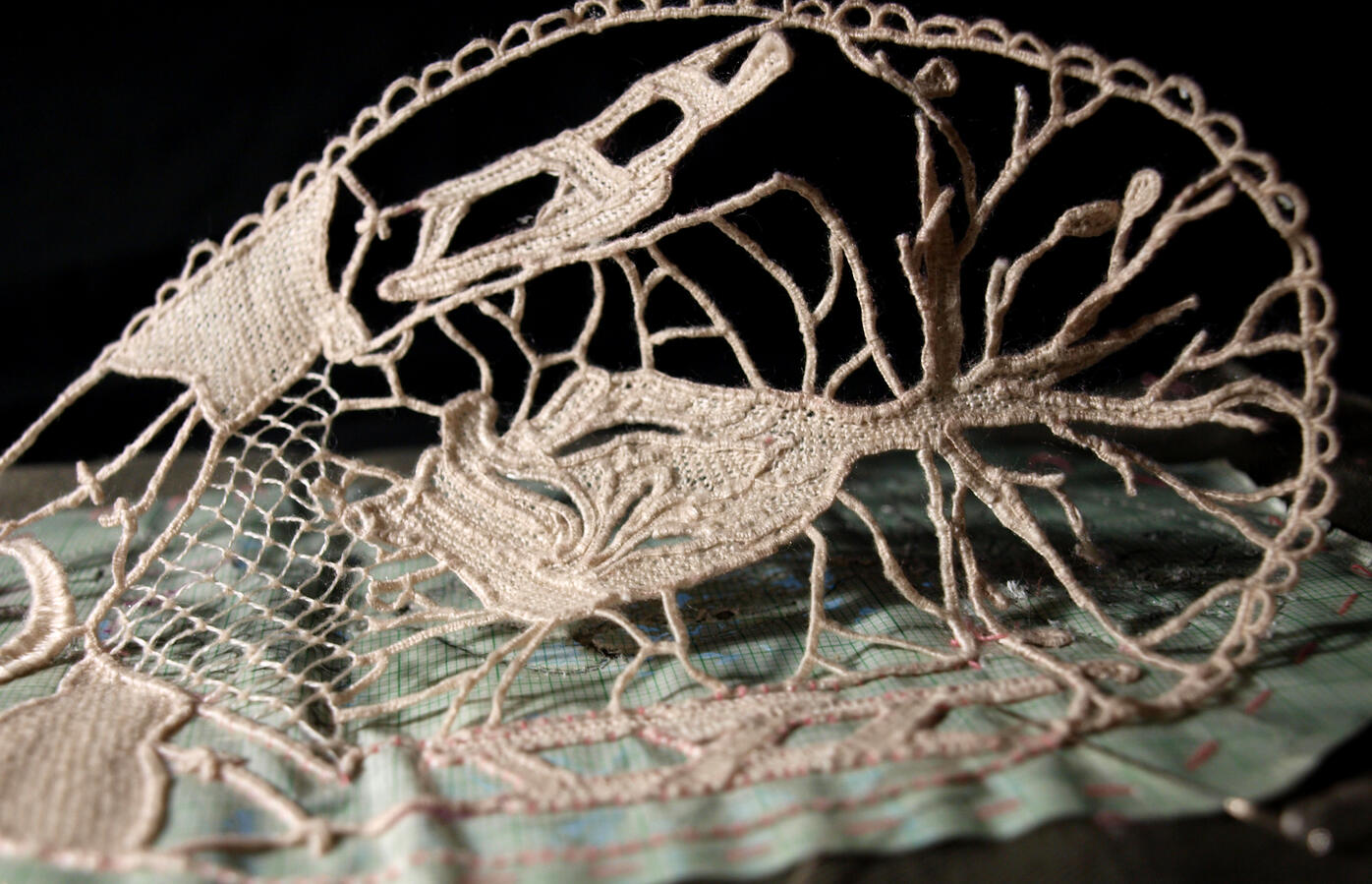 Ejercicio de encaje de aguja, 2024. Hilo mercerizado de algodón tipo mouliné marca DMC.