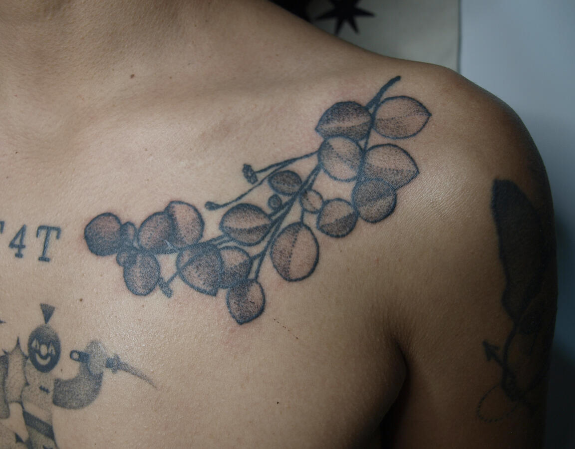 Tatuaje botánico recién hecho (eucalipto), handpoke (2024)
